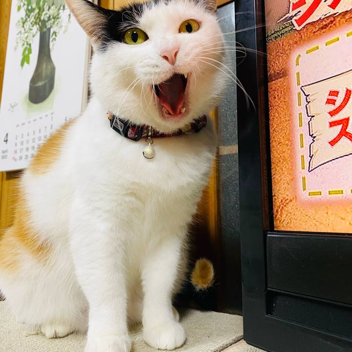 386f3350 fb19 445c 9b5c a50fbe501d8e 1682165807132