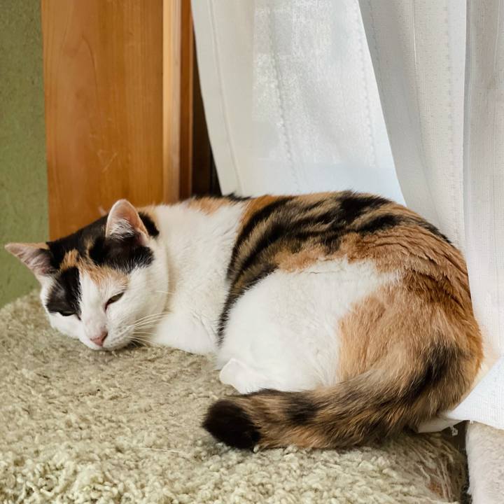 386f3a20 823b 4e82 b20a 8a7efb2974e7 1626662956030