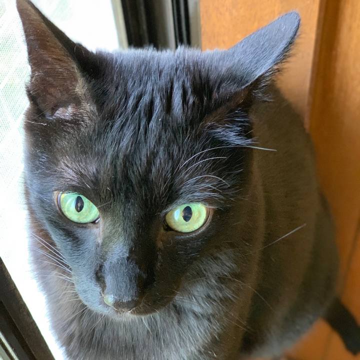 386f3db0 9e81 4ae1 a291 777f5823455f 1558659004055