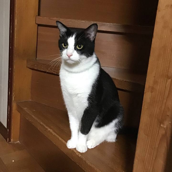 386f56f5 011d 40a6 b456 69b1bf2bfac4 1694005517871