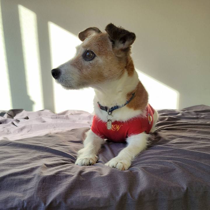 386f6534 eca2 459b 9946 469cadaa5966 1763258279542