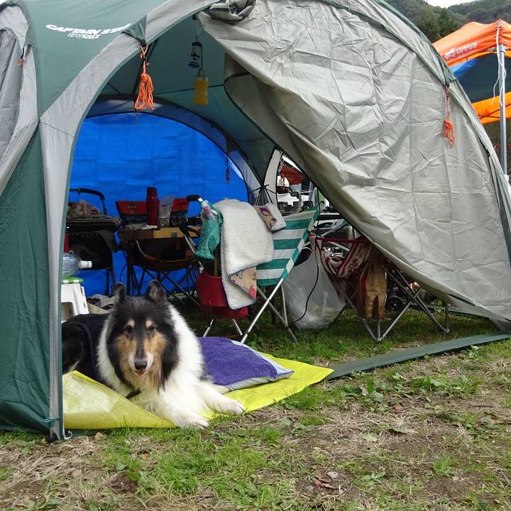 386fa641 6136 49da a26a 6762c6ef3fc2 1572746115727