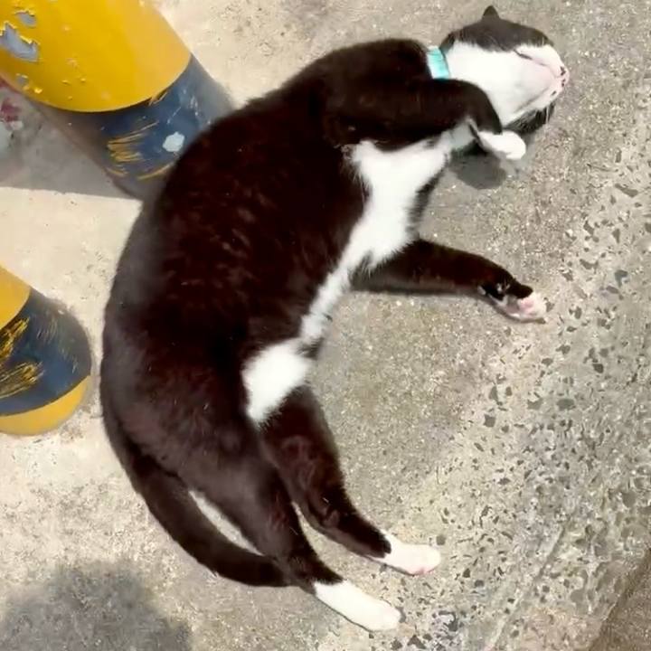 386fd65f 9b59 4311 bd0f c19beb3dc115 1748400635348