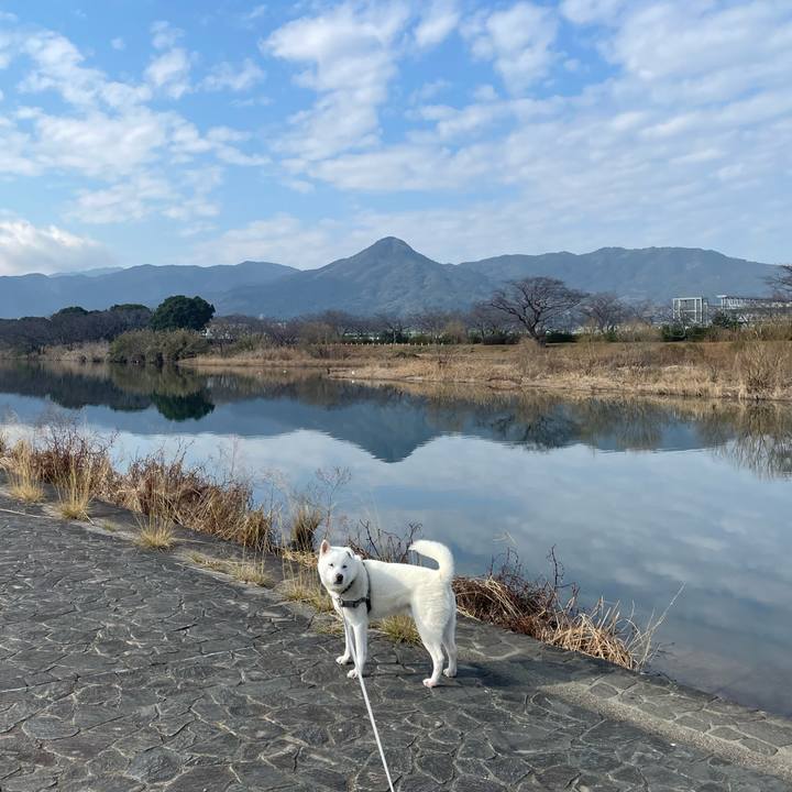 386ff3d7 726b 48fe a81f 136bdc8c6e3e 1740790341895