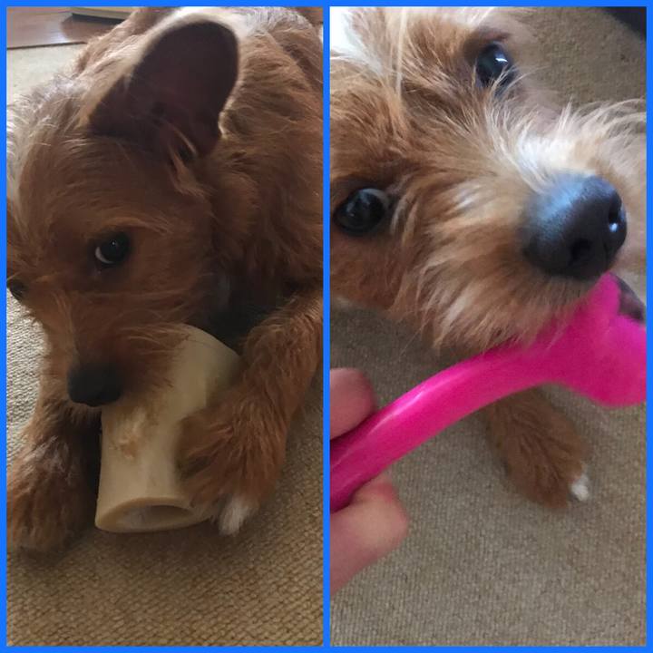 38700d00 5936 4f39 8433 040b12e3dcdd 1534981103338