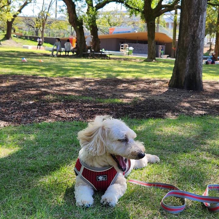 38709a21 60f3 4a30 9b02 24a13773240c 1760751920957