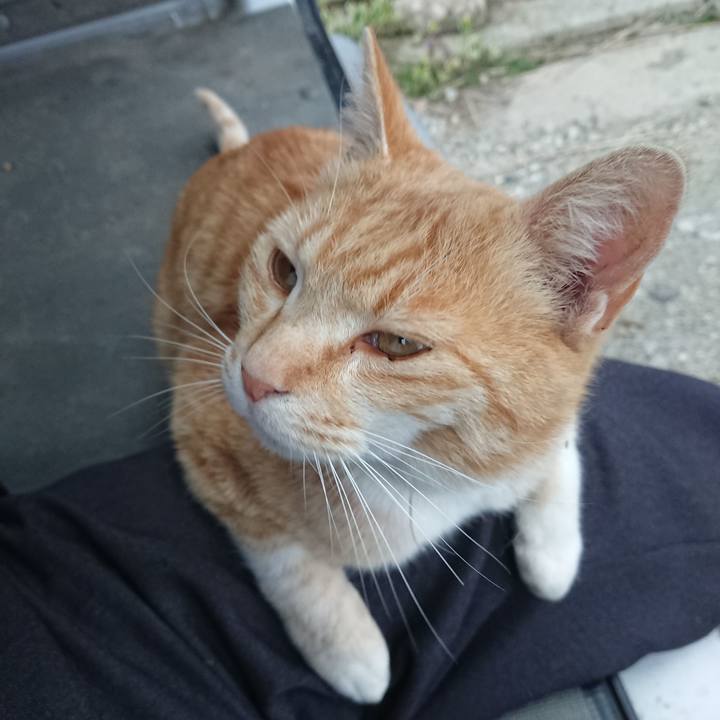 3870b6cf 2df2 4541 9d2a 1ba85b5f83e5 1588323312120