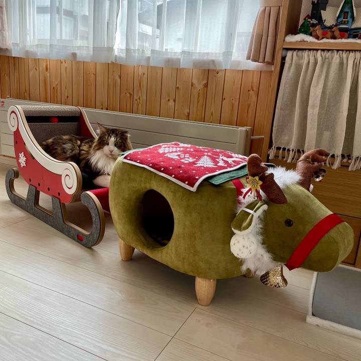 3870d157 f2d8 4913 8b42 7a16134a6c13 1700711045704