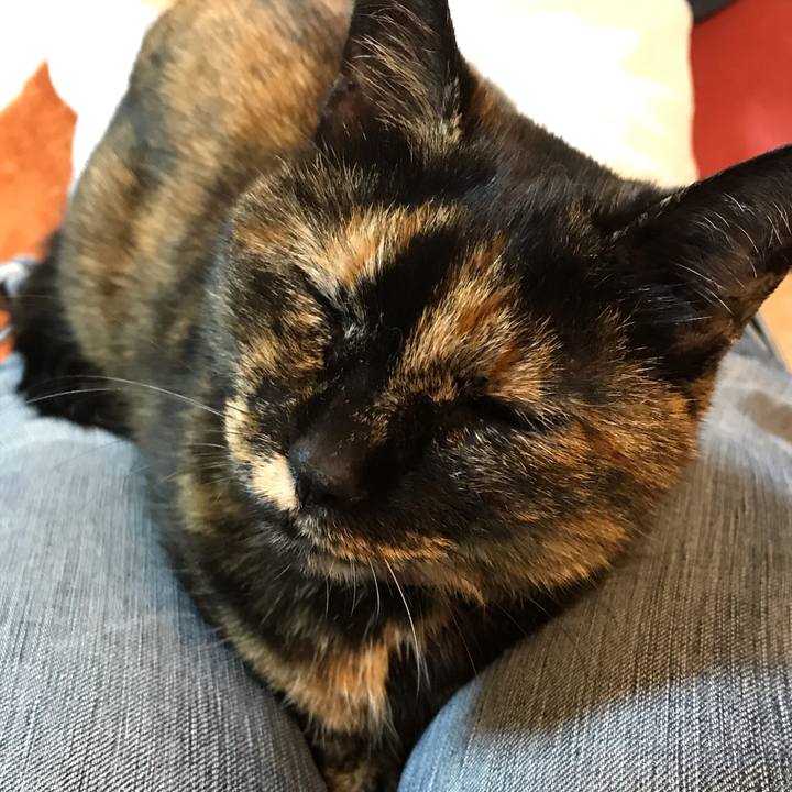 3870de00 2aff 49cc a9d7 af986c5145fe 1562200279363