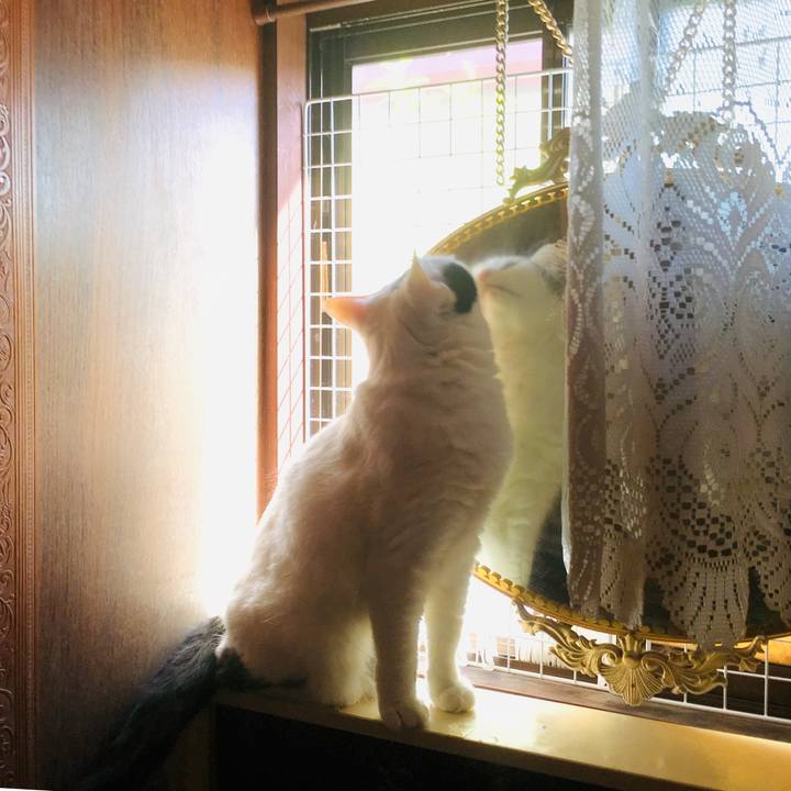 3870ec76 126b 4fdc b872 2b0fd3b57205 1558824163746