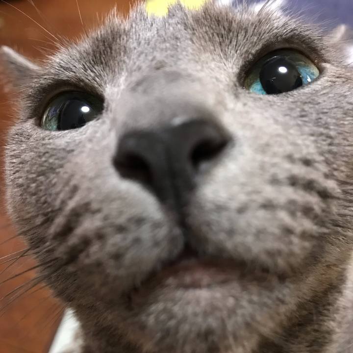 3870fae6 7f67 4d29 834b a65d4cb73a45 1544229480728