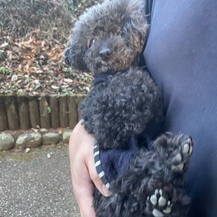 38711888 1a9c 41ef 9030 fea23931f43d 1670666792792