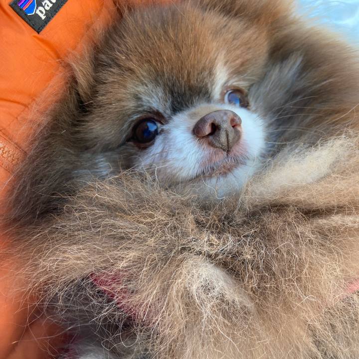 38716f22 b2bf 4005 9def fa2561953dc9 1710040380176