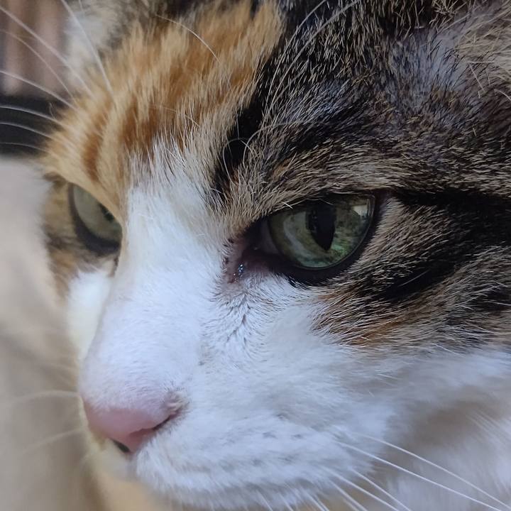 387176e6 3aa9 46ef b59a e3751b2f4dd9 1644386356053