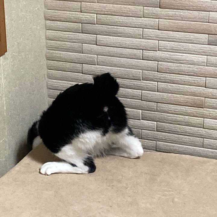 3871997b 8c97 4166 acd1 a04fd79a31b1 1669021782970