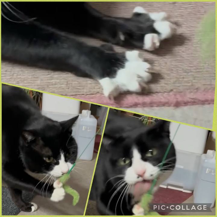 3871af67 0ba5 42d7 a291 911ba975d04d 1772970254309