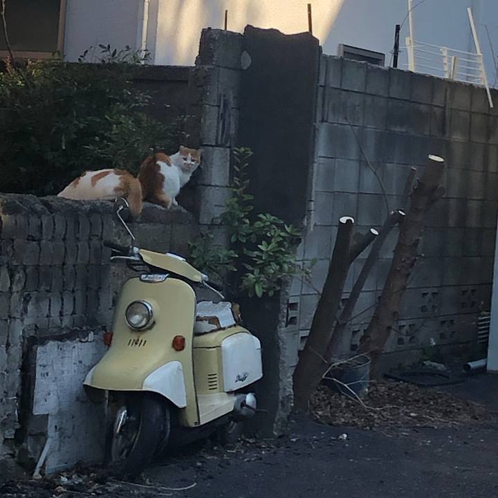 3871bc5f 37b3 4f57 9a0a 0be136e6a580 1554389761057