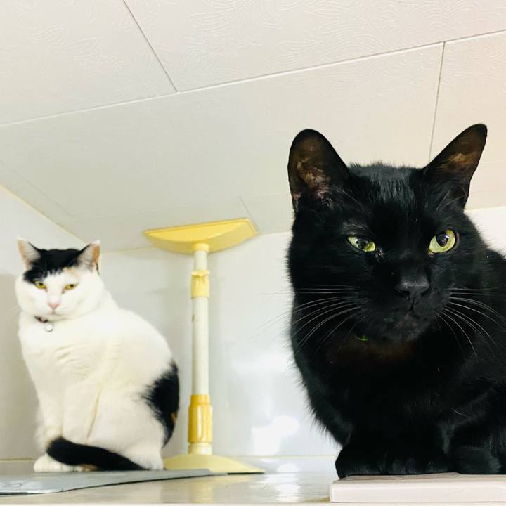 3871d2ff be8d 41b9 949d 2234d7c71c19 1675634984917