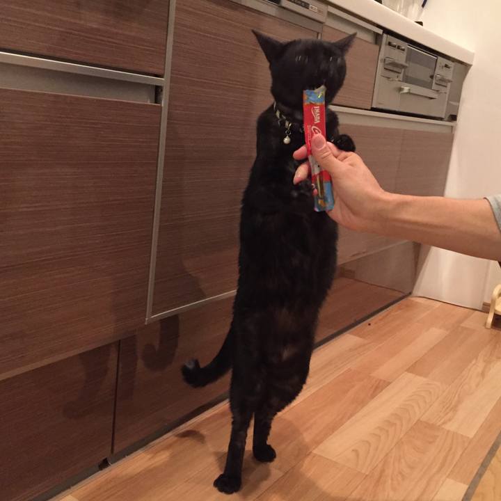 3871f59c 6265 4bd9 9680 fd29e775aa41 1538924843933