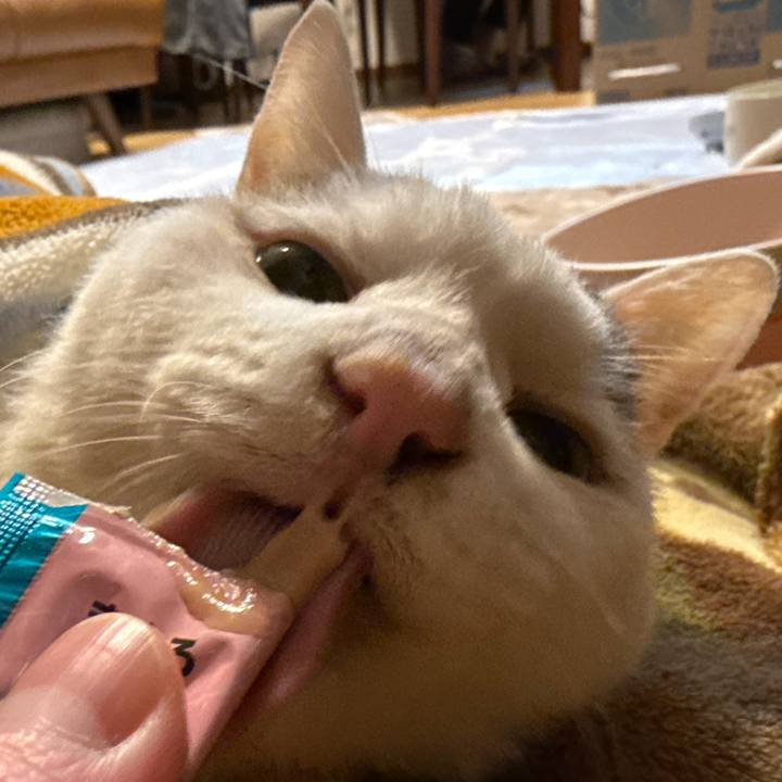 38721de6 ccae 4704 9644 eb2109c2dd9a 1764679476800