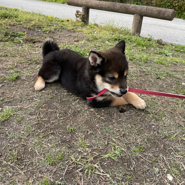 38722aa0 94f0 4c00 b85a 5688cae125d6 1648464723241