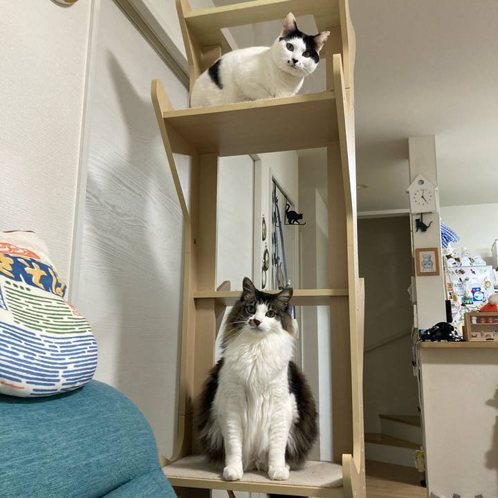 387234c7 a903 42db 8647 0ae56957aa75 1772913938924