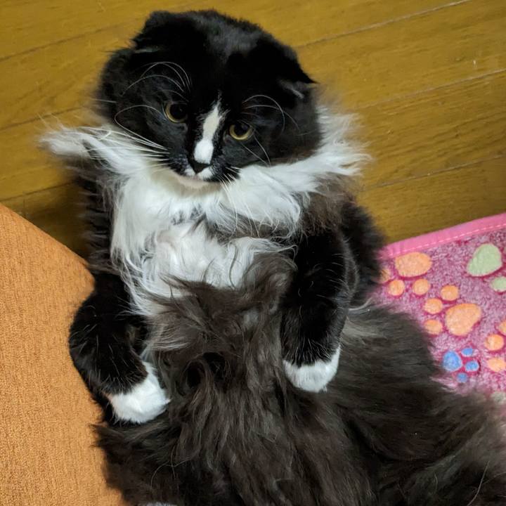 387266e6 6bdd 46df 8aee 2b9f1afca14c 1673217290206