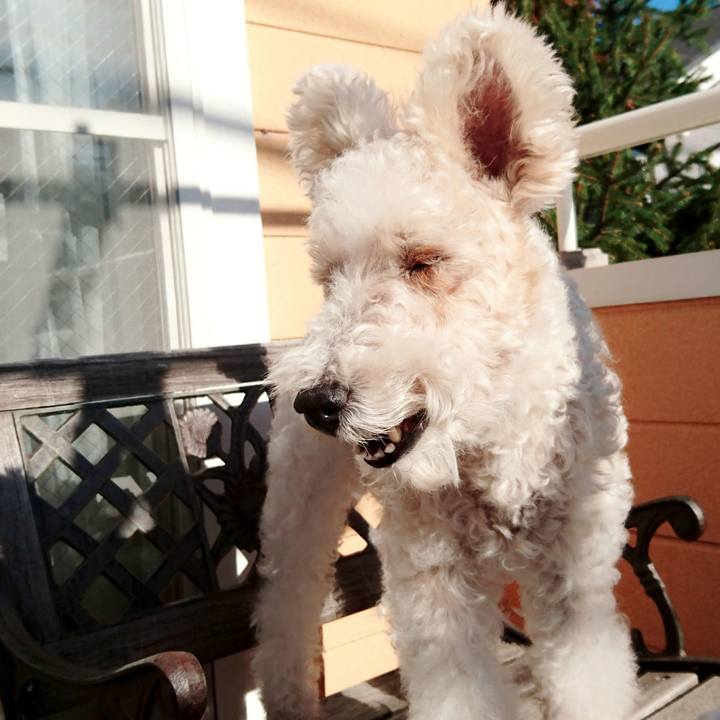 38726a4d 0516 47fd a88c f8b99058bc3b 1512439019553