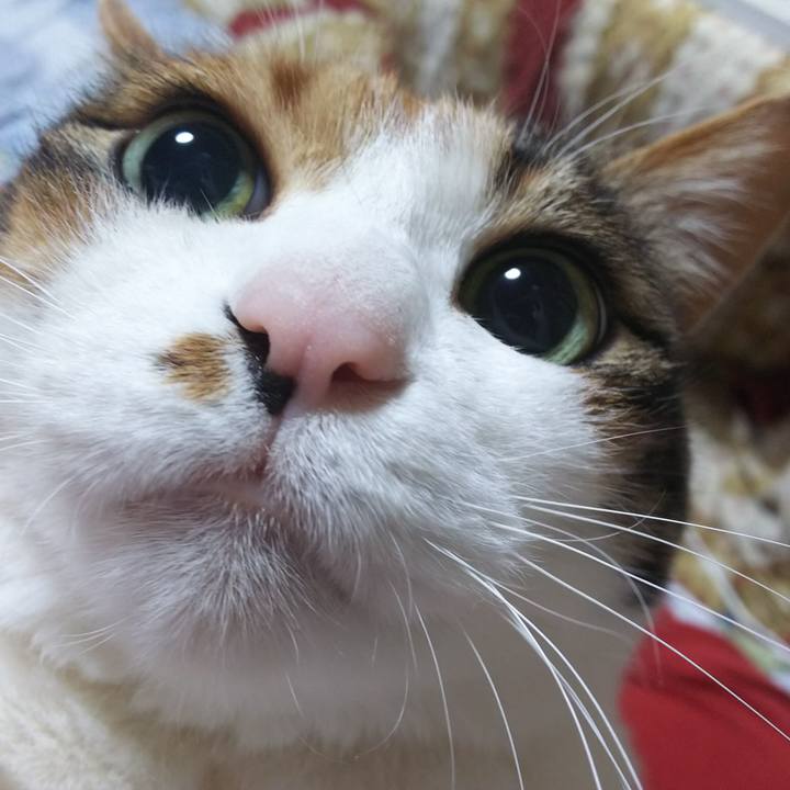 3872af98 e38a 48d4 92e3 8b95afacc3e4 1552513758041