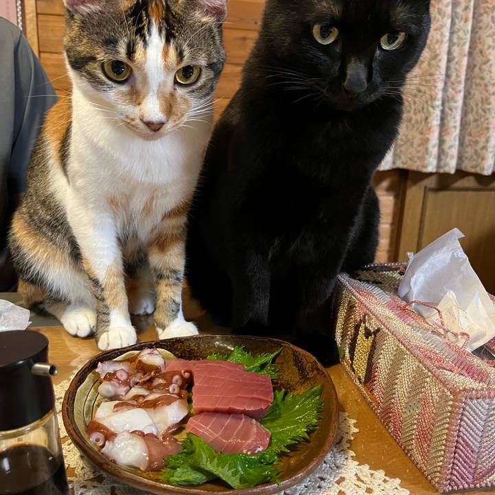 3872c6e1 be5a 42b6 9cd0 86f39247eec8 1662292430940