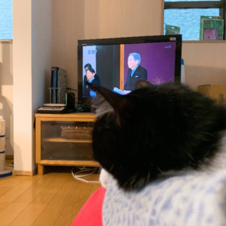 3872c85d 6354 4abc ba83 80af485c5363 1556612529927