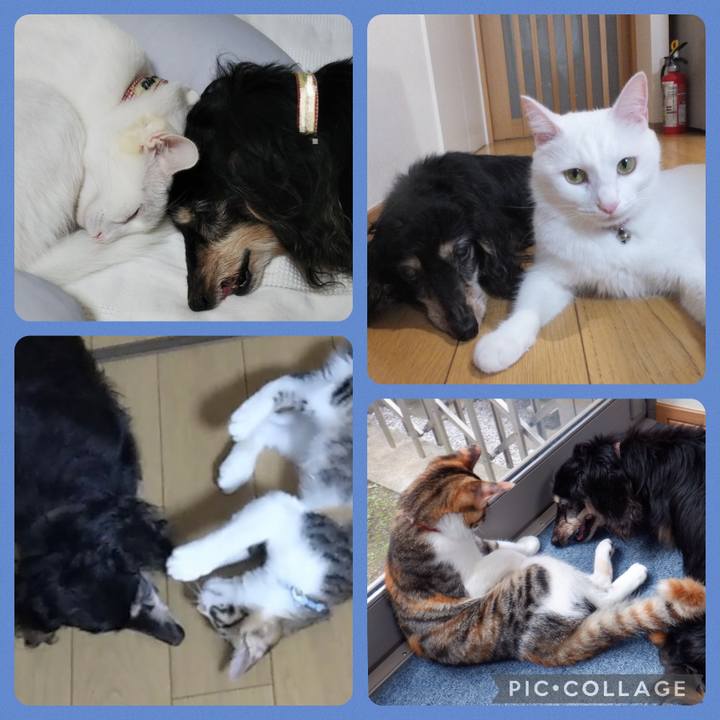 3873080c 6302 4f4c b51e c53be0dfd570 1691950918911