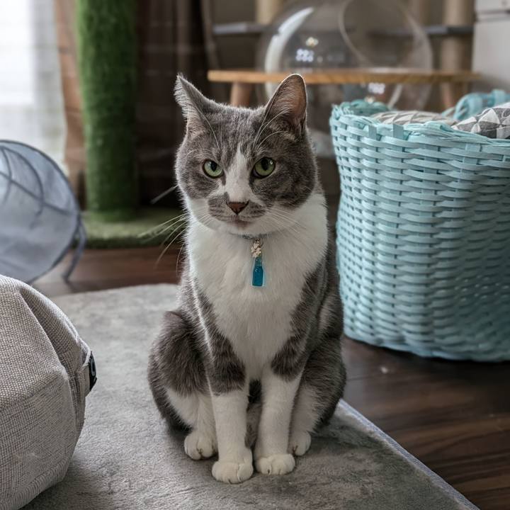 38732abc 30b7 4217 8d70 466fe9e65d6d 1727241775449