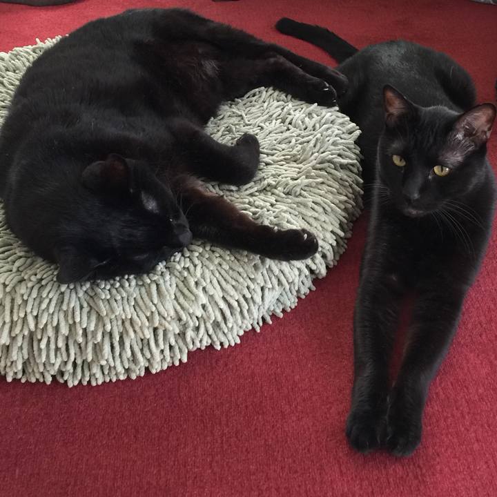 38732ca3 654b 4901 9679 532f2f70688e 1514872941054