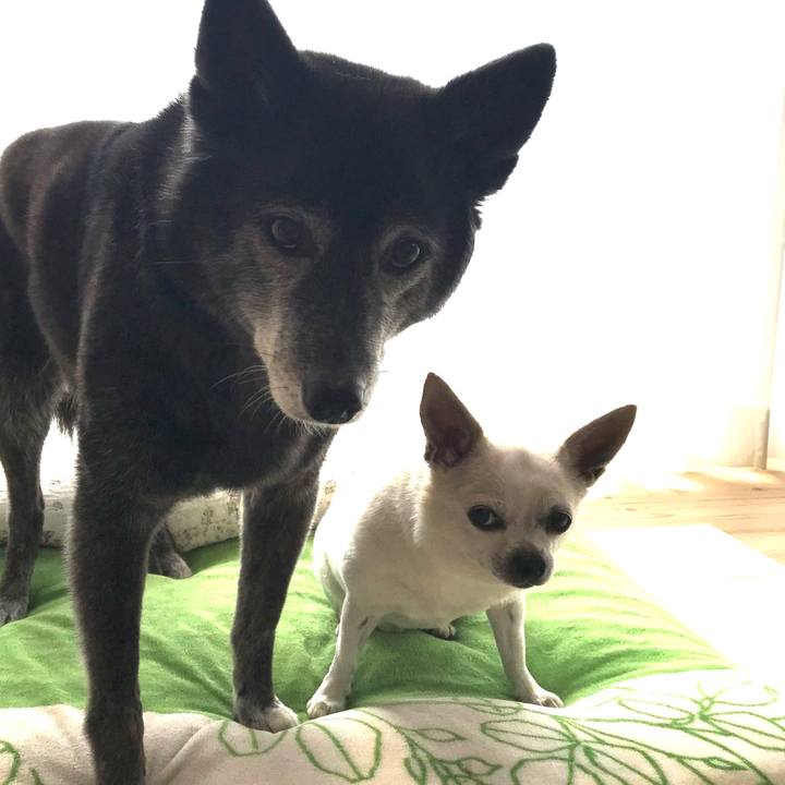 38733709 5b1d 499f a4ab 386668511974 1657278638716