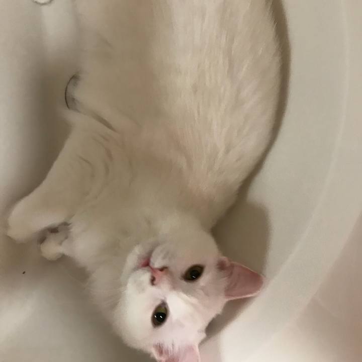 38733783 e45e 4da1 ab1d d1ddcab84342 1525148793346