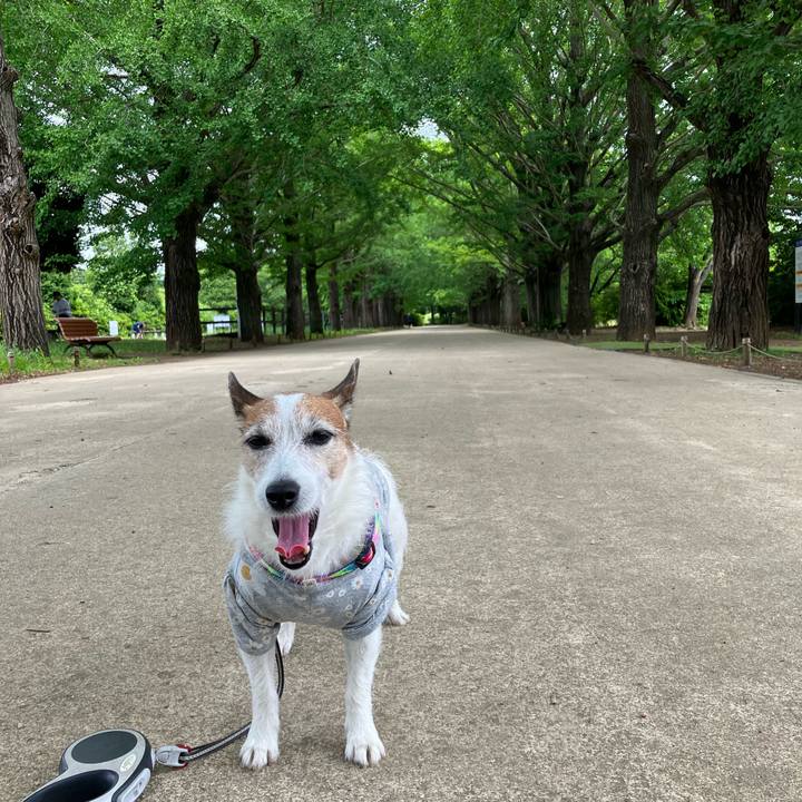 38733f02 81ee 45ee bc9a 9fcb7104e553 1685488748382