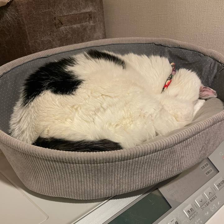 387347f0 f111 492b 9dba 80d46654d982 1766415514306