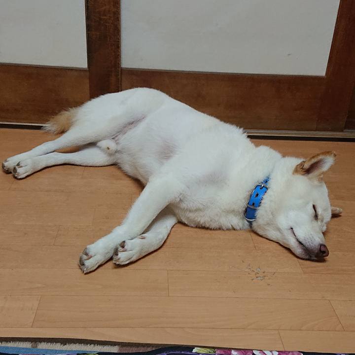 3873bbf1 bc59 4dfa b196 261b2ad8d2b9 1567515829686