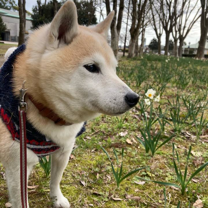 3873c7f1 f340 4fa8 a4a1 a0ad8ec0f10a 1667477312690