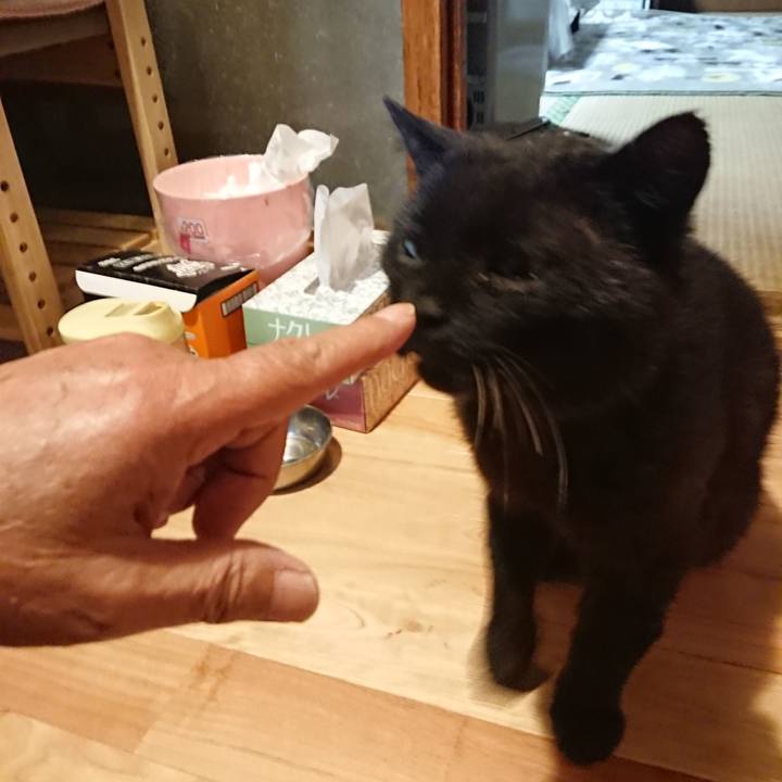 3873f9cc b9de 4dbe bb85 ff0e9b764e43 1622461795167