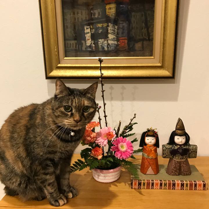 3873fdad 1f90 43c1 a538 a0fb369d0184 1550811624872