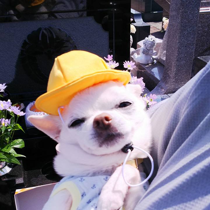 38741d1a 0ed5 4d42 90bd 46ce1e1e048c 1524390577854