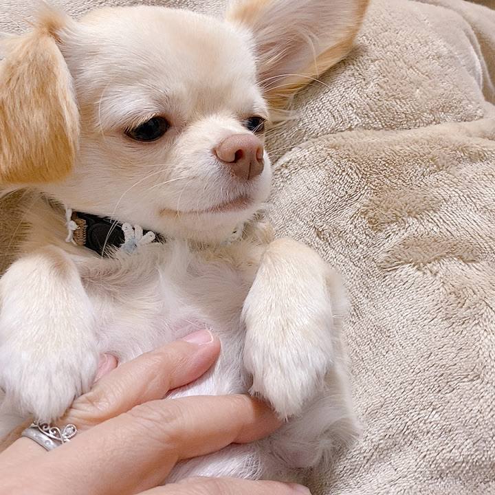 38744d98 67f2 4162 ab0e 3f4c7b1afd71 1607934850725