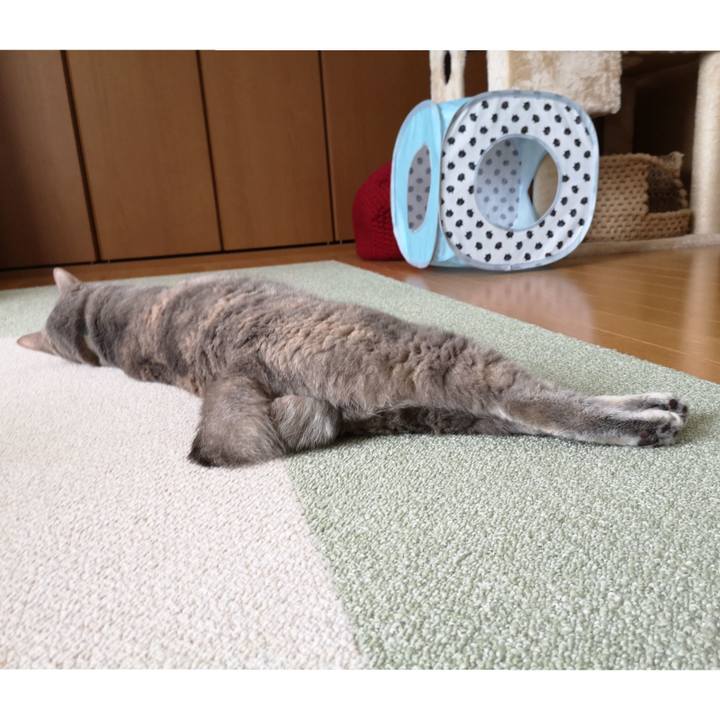 387452af 47ad 487c 8e3f 0fe804a6eb90 1591418187748