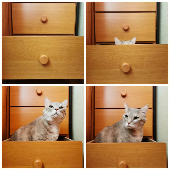 387462bd c91e 47a3 887d b53dee12e0d7 1646278958506