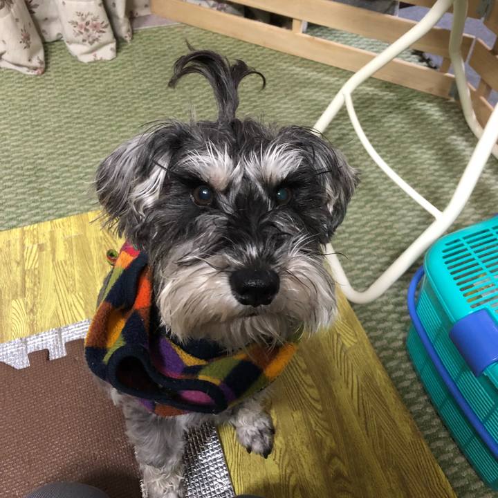 3874640b ac2c 4dec 942a 8343d3fcfa9e 1518666400924