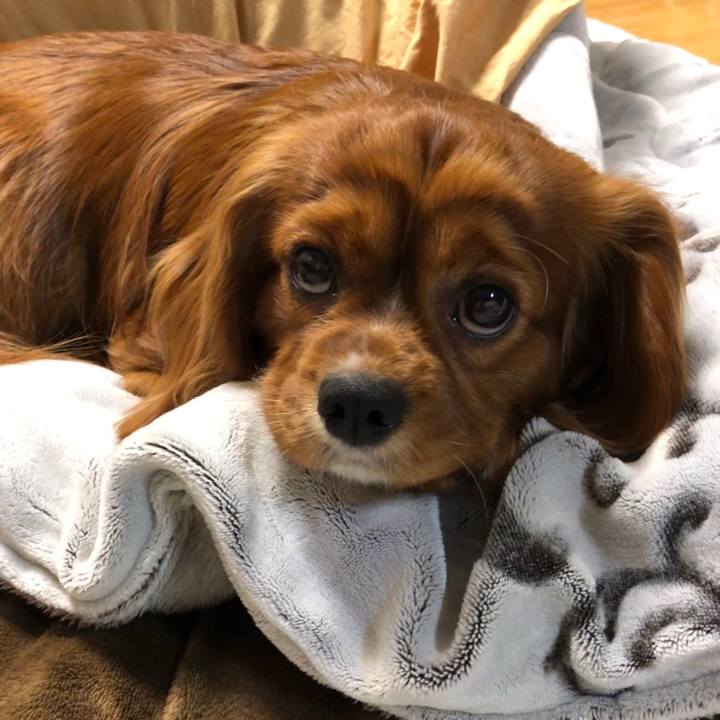 387486a0 0306 4bc1 9044 a79f22a7bdc8 1581683280068