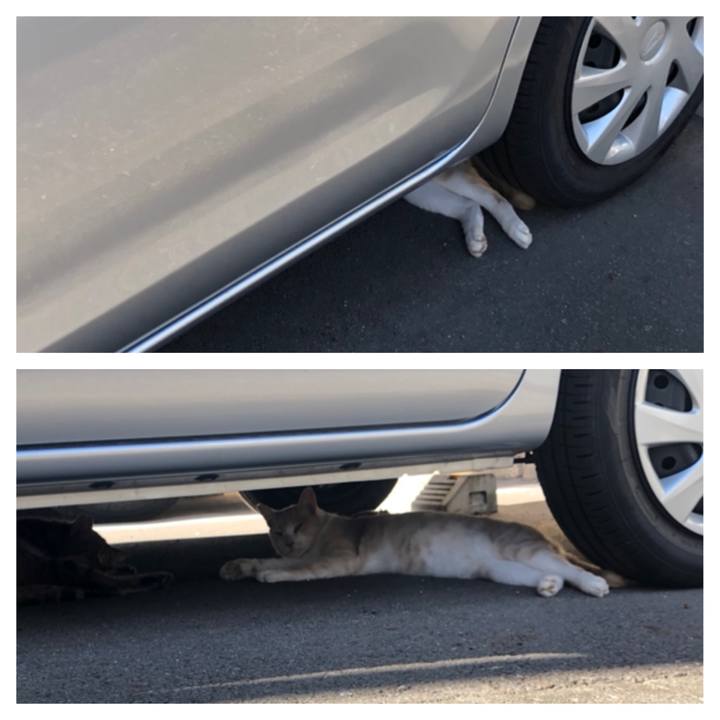 3874a780 60d8 4567 9015 1a2a3d41bdc2 1568317755840