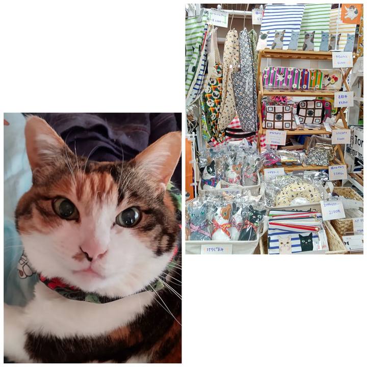 3874a981 5812 4057 bc41 44f382afd85e 1650160644263